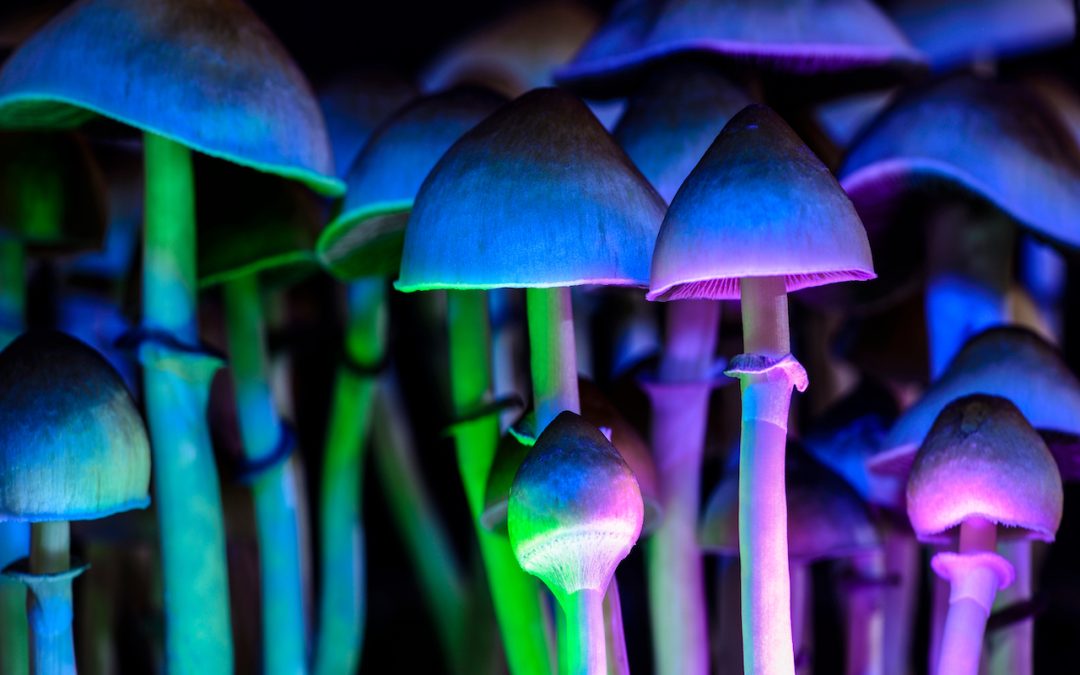 top shrooms dispensary victoria